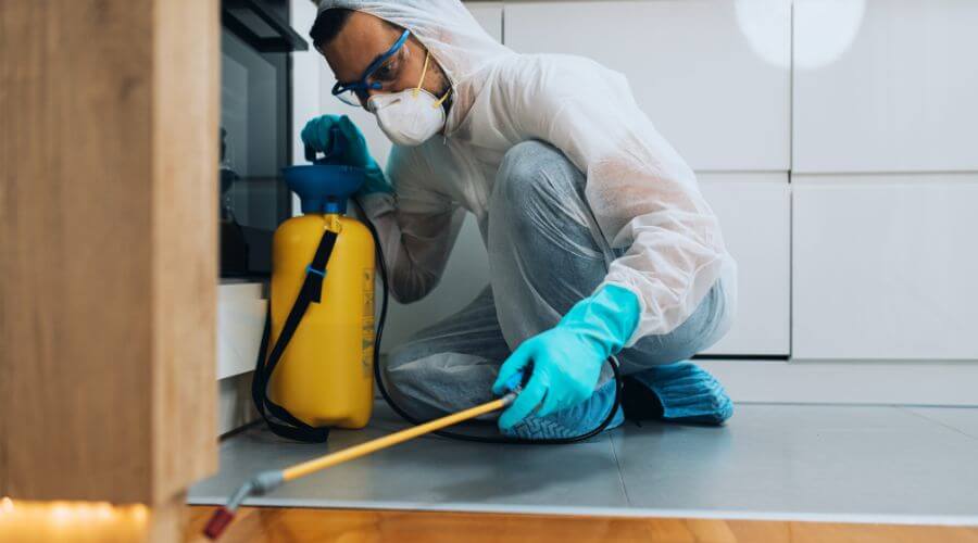 Professional pest control services in Grandview